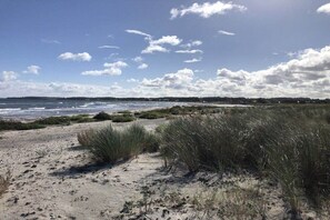 A beach with sand dunes and sparse vegetation. - Painters' Corner Hohwacht (Hohwacht)