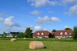 Paisagem rural com fardos de feno e casas.