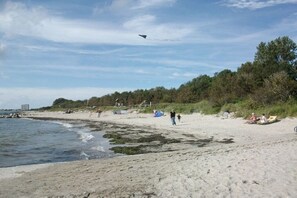 Ein Strand mit Menschen, einem Drachen und einer bewaldeten Gegend im Hintergrund.