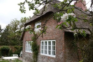 A traditional brick house with a thatched roof, a white window, and a tree with blossoms in the foreground. - Holiday home in Oldsum with swimming pool (Oldsum)