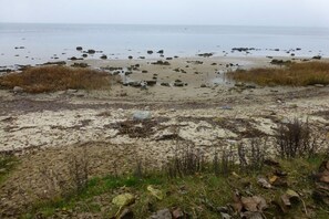 A beach with scattered rocks and sparse vegetation. - Old Rectory Elmenhorst (Elmenhorst)