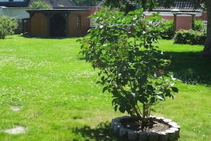 A garden with a tree in a stone planter, a brick building, and a grassy lawn. - | Friesenhaus Deichperle (St. Peter-Ording)