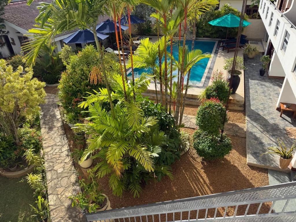 A courtyard with a swimming pool, surrounded by palm trees and potted plants.