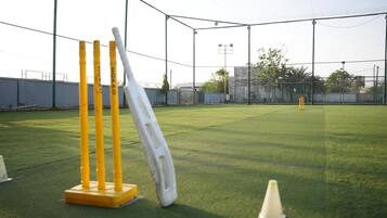 Cancha de críquet con estacas y borlas, rodeada por una valla y un cielo despejado.