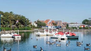 Un puerto deportivo con barcos amarrados, patos nadando y casas al fondo.