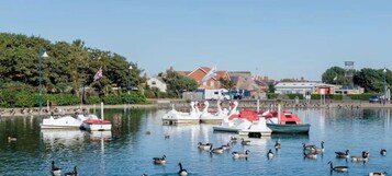 Un puerto deportivo con barcos amarrados, patos nadando y casas al fondo.