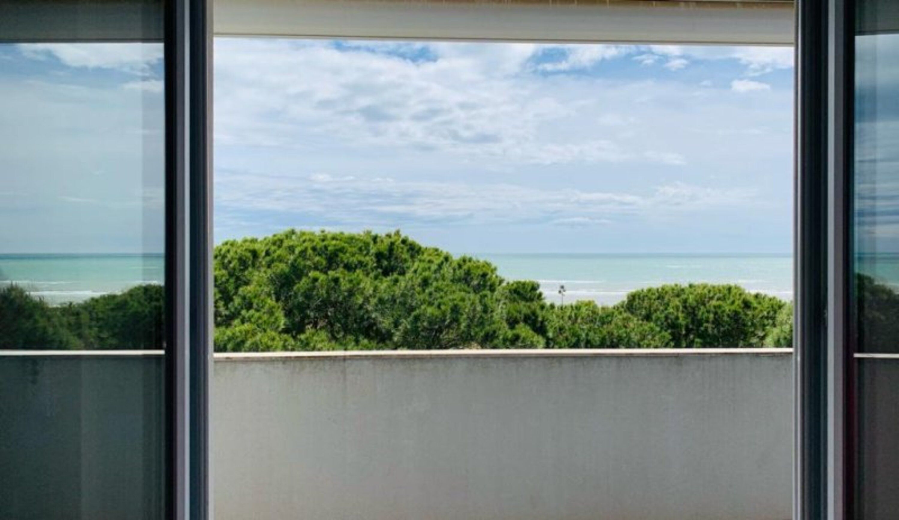 A view through a window with a beach and ocean in the background, and dense green foliage in the foreground.