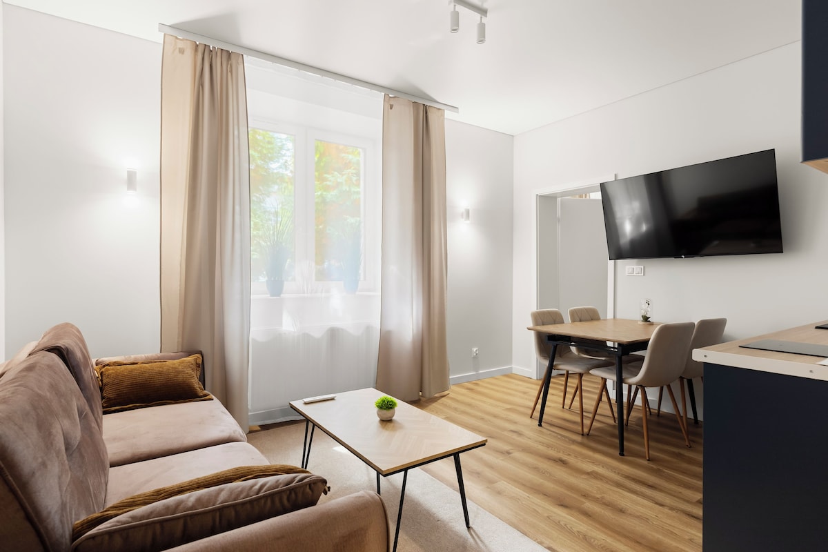 Apartment, 1 Bedroom, Kitchenette, Ground Floor | Iron/ironing board (on request), WiFi (free), bed sheets