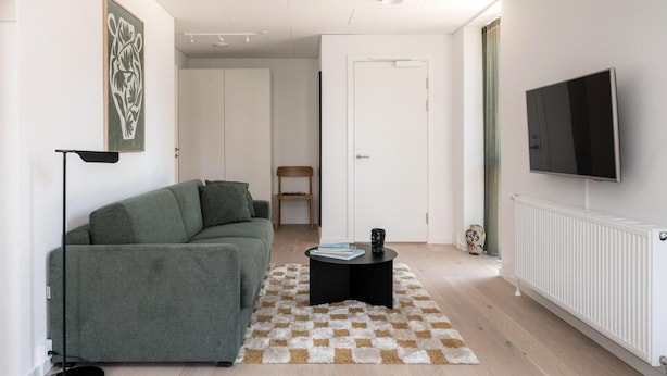 Un salon avec un canapé, une table basse, un téléviseur et un radiateur.