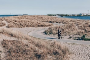 A pathway curving through a sandy landscape with sparse vegetation, leading towards a body of water and industrial structures in the distance. - Cozy Hideaway in Copenhagen (København)