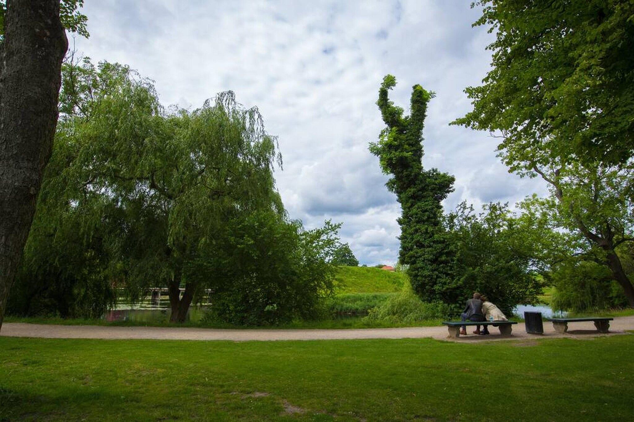 A park with a grassy area, benches, and trees.