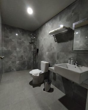 Et stilfuldt badeværelse med bruser, toilet, vask og spejl.
