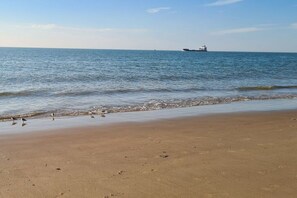 A beach with a ship in the distance, sandy shore, and birds. - Holiday home with 3 bedrooms (Wolphaartsdijk)
