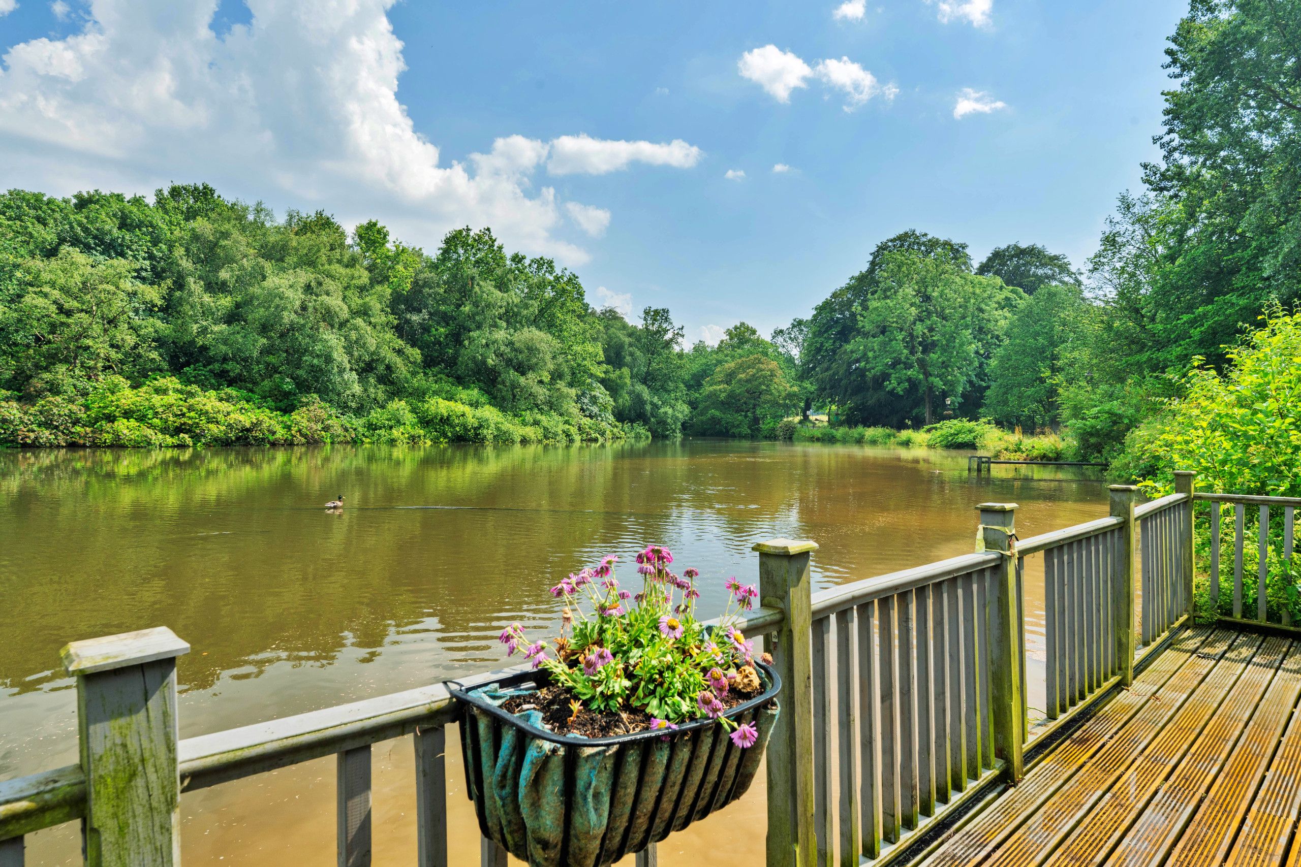 Una terraza de madera con vista a un río tranquilo bordeado de abundante vegetación.