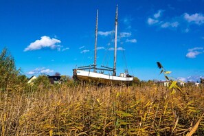 A boat stranded in tall grass with a clear blue sky in the background. - Holiday home in Zingst with swimming pool (Zingst)