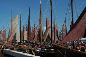 Ein Yachthafen mit mehreren Segelbooten, die dort vertäut sind.
