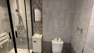 A modern bathroom with a glass-enclosed shower, a toilet, and a sink.