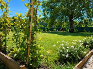 A garden with a variety of plants, a wooden fence, and a large tree. - House with a pool in a quiet location (Saint-Michel-Escalus)