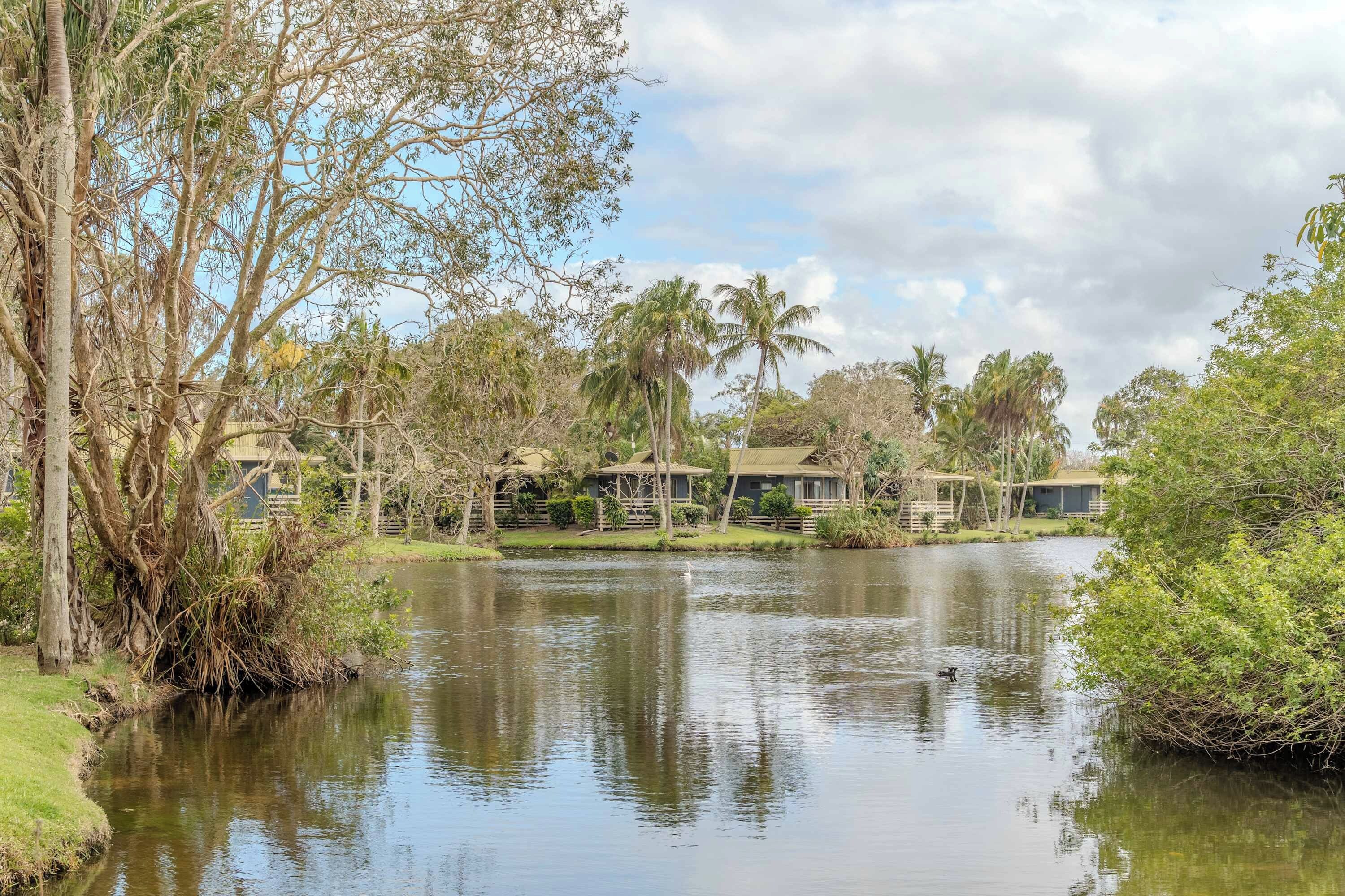 Un cadre paisible au bord d’un lac, avec un bâtiment de style bungalow entouré d’une végétation luxuriante et de palmiers.