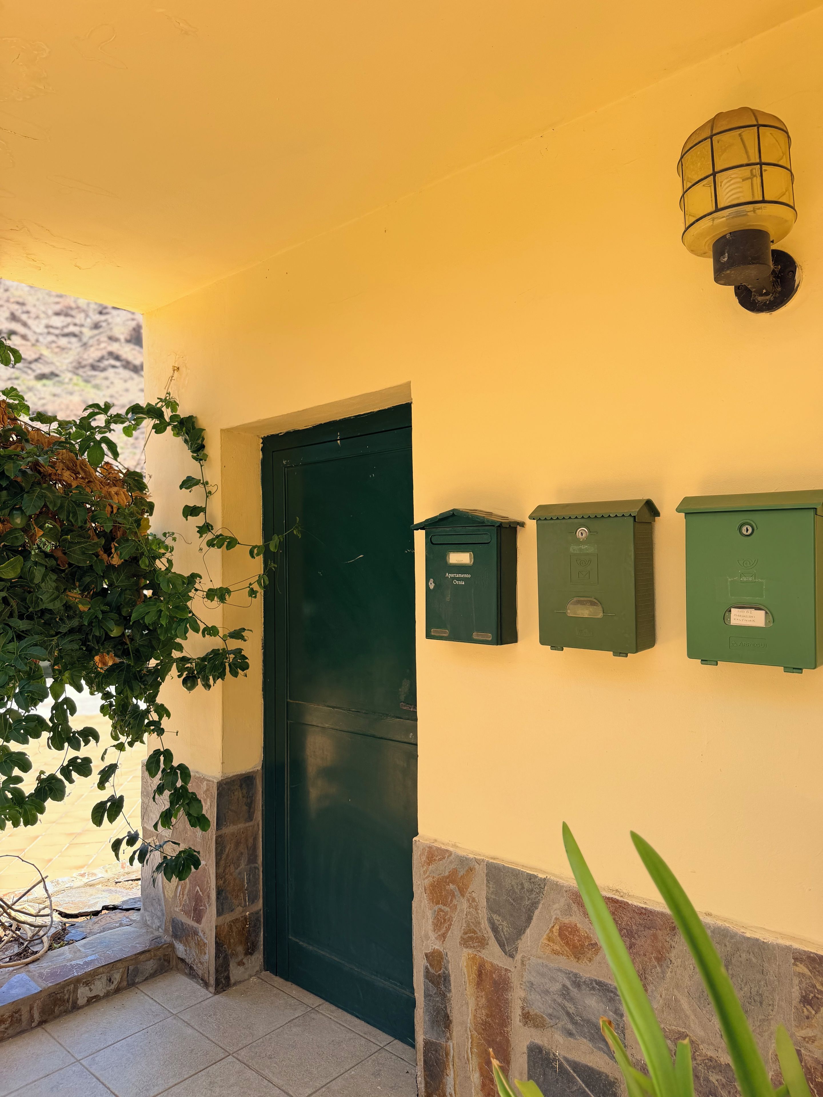 Une porte verte avec un socle en pierre, un luminaire fixé au mur et deux boîtiers électriques verts.