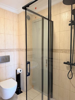 Un box de ducha con paredes de vidrio, un cabezal de ducha manual, un inodoro y un dispensador de toallas de papel.