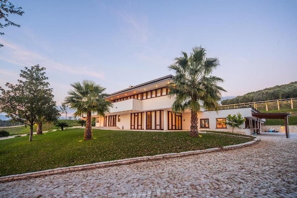 A modern building with a flat roof, large windows, and a paved driveway.
