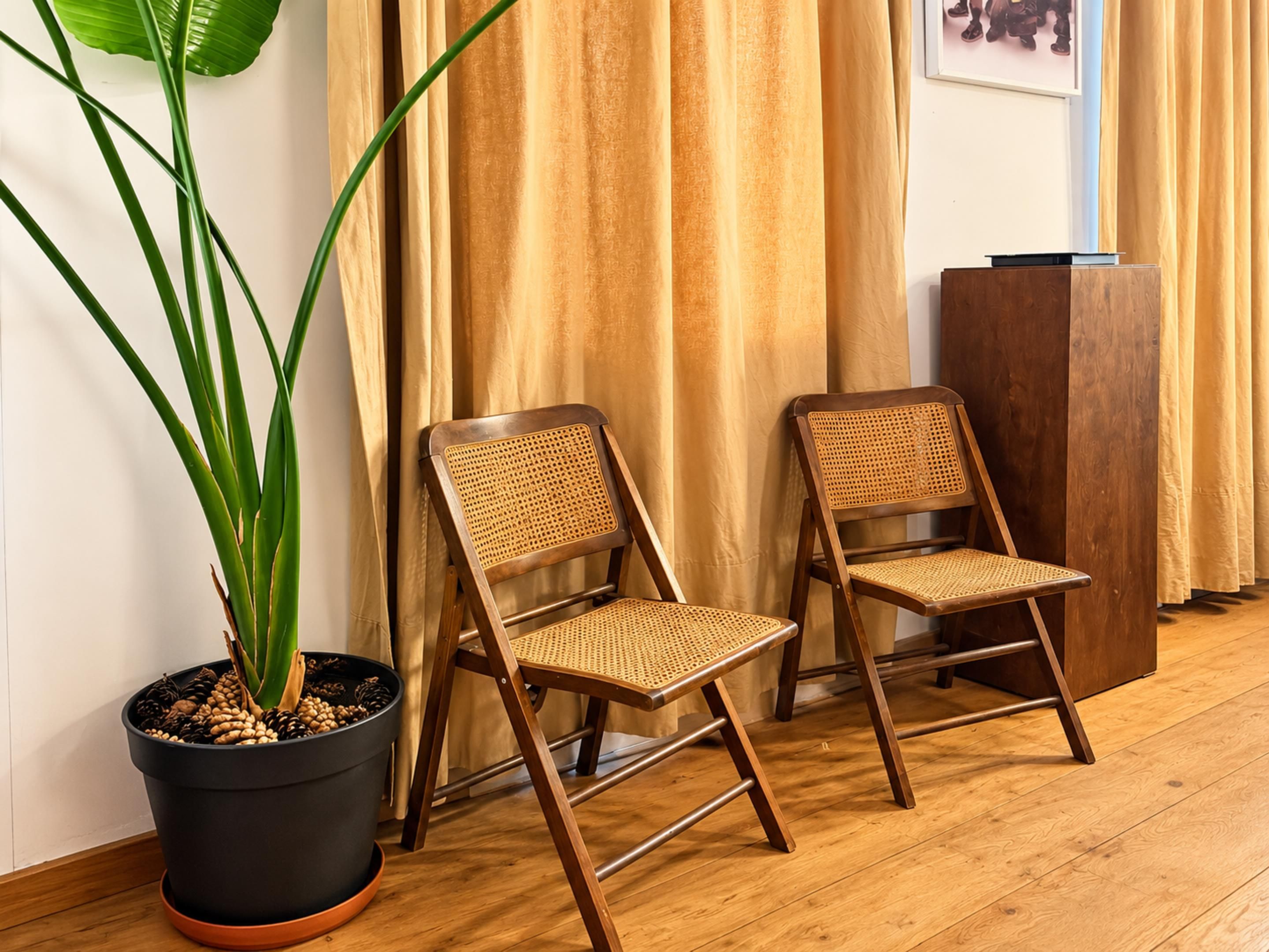 Twee houten stoelen met gevlochten zittingen, een pot met groene bladeren en een houten kast.
