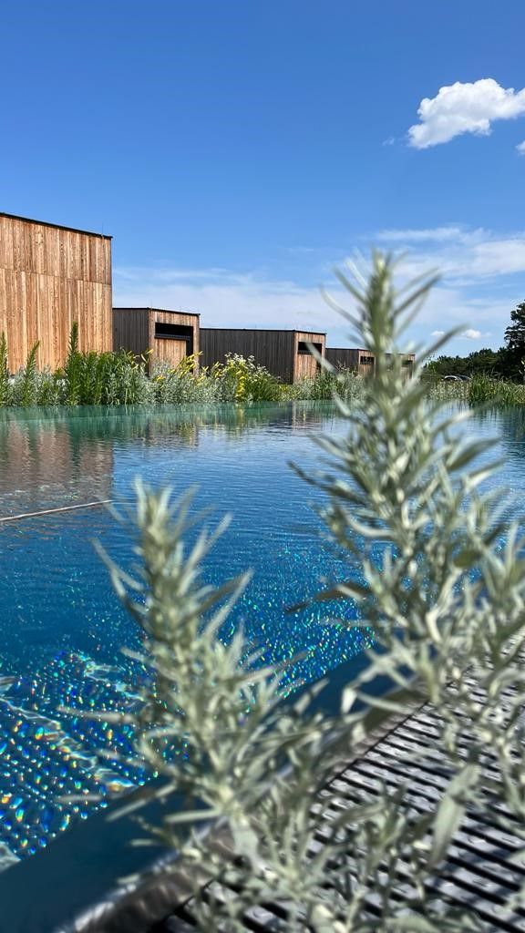 A swimming pool with a wooden building in the background.