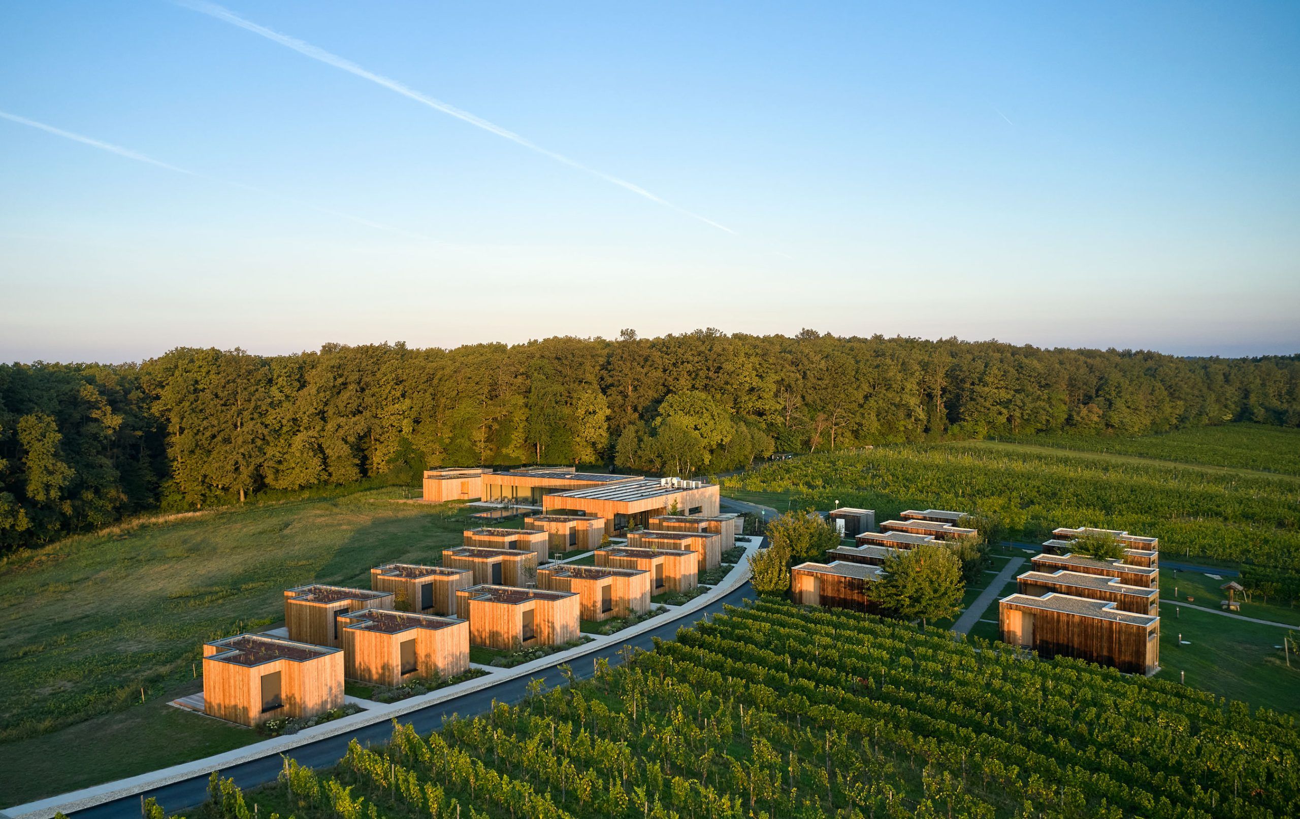 A modern building complex with multiple wooden structures, surrounded by a forested area and a vineyard.