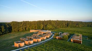 A modern building complex with multiple wooden structures, surrounded by a forested area and a vineyard.