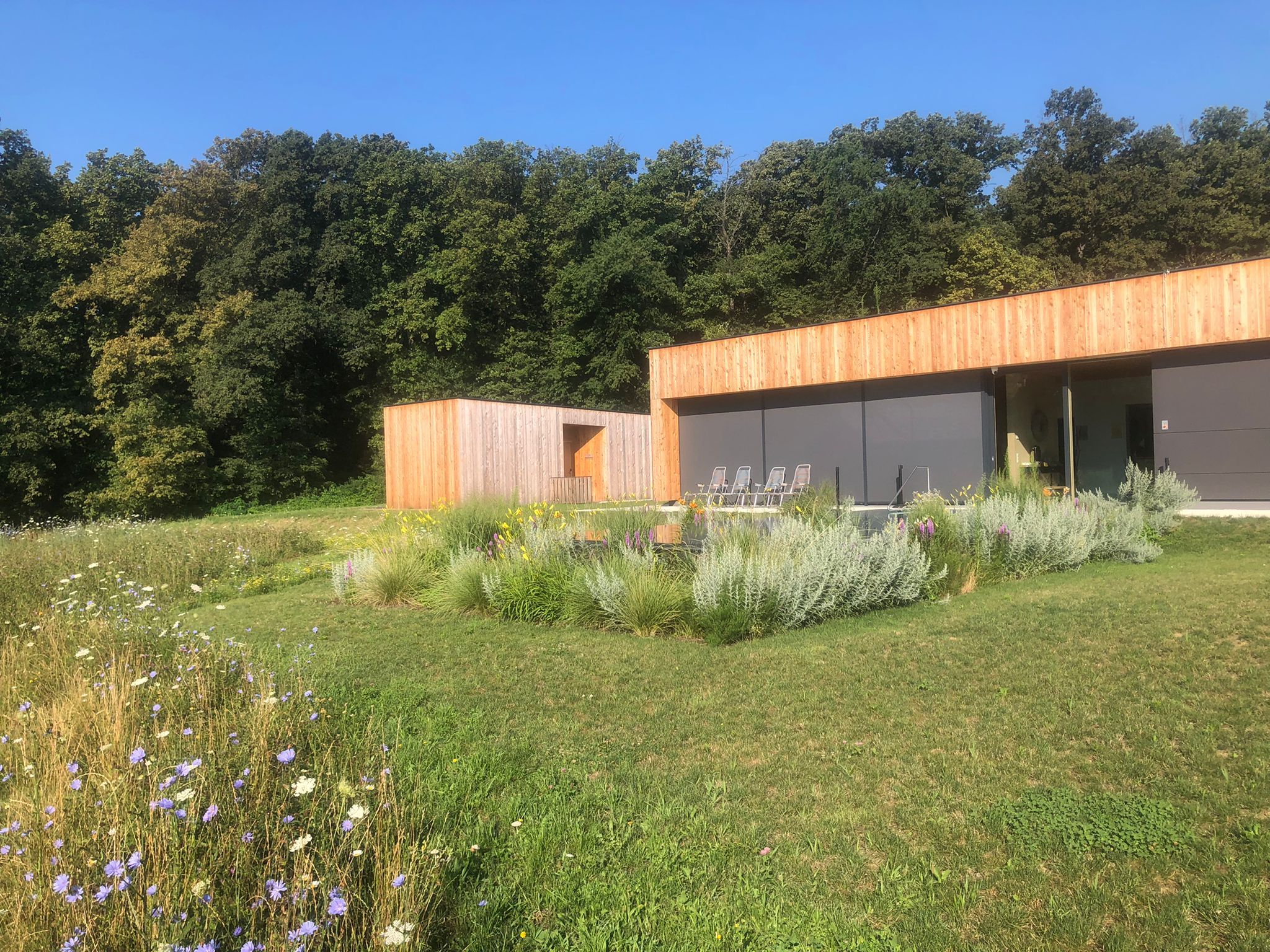 Een modern gebouw met een houten gevel, een gazon en diverse planten en bloemen.