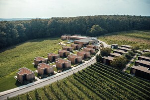 Vista aérea de un complejo residencial moderno con varias edificaciones de madera, una piscina central y viñedos circundantes.