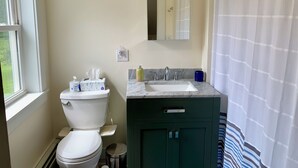 A bathroom with a toilet, sink, mirror, and a shower curtain. - 3-bedroom house on a peaceful street on the river in Waldoboro (Waldoboro)