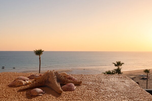 Una playa con piedras, una palmera y el mar al atardecer.