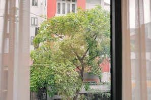 A view through a window of a tree with dense foliage, a building with a red facade, and a clear sky. - An Yên Island (Ba Đình)