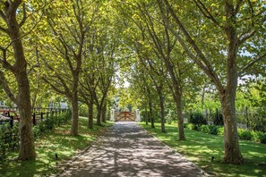 A pathway lined with trees leading to a gated entrance. - Exclusive & Secure, 5-Star Private Country House Estate in Constantia, Cape Town (Cape Town)