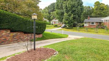 A residential street with houses, a street lamp, and a well-maintained lawn.