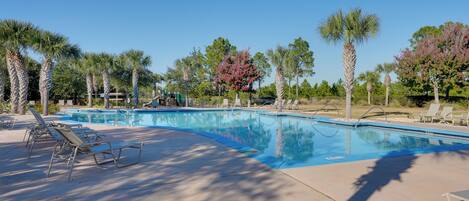 A swimming pool with lounge chairs and palm trees.