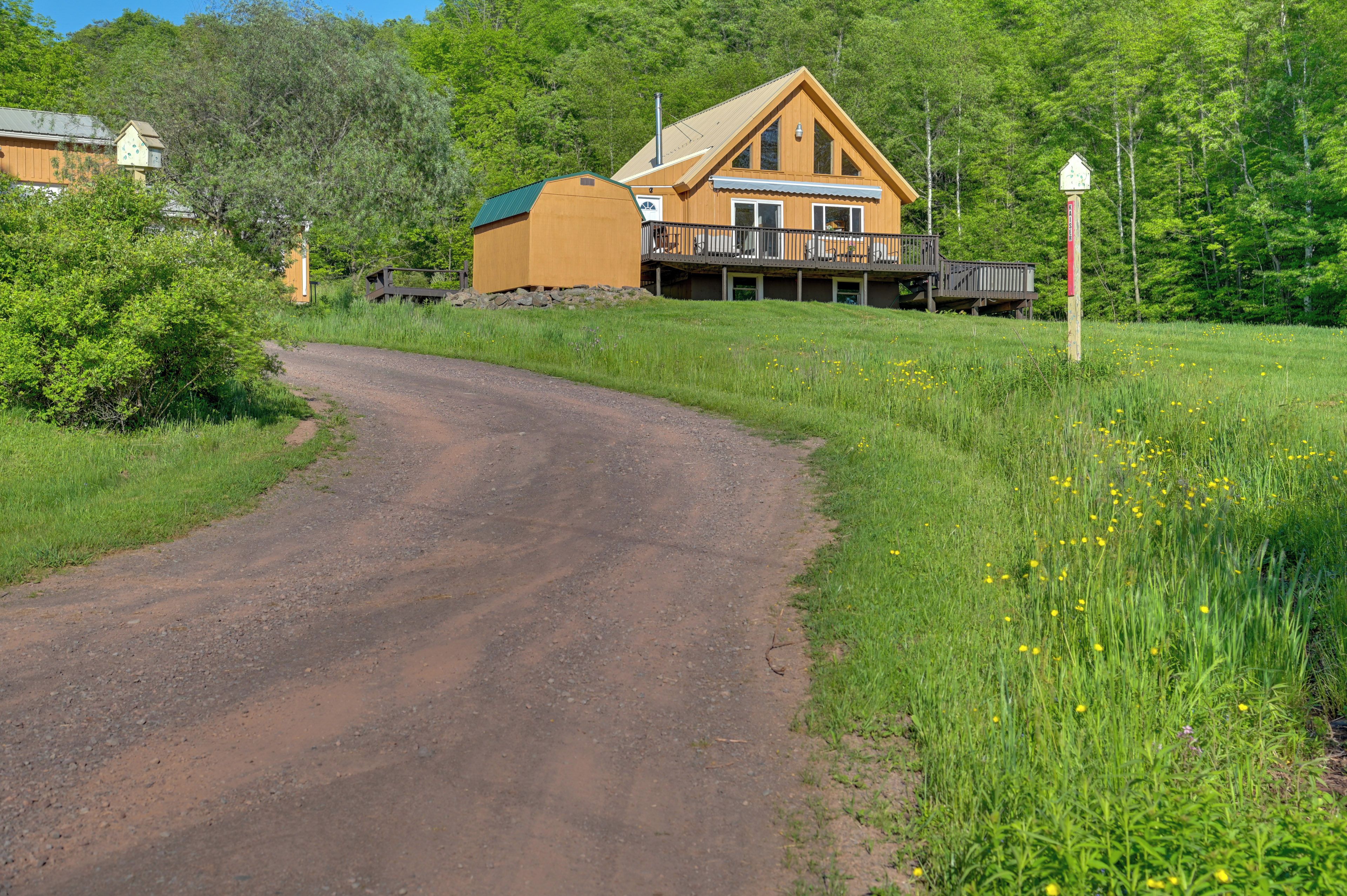 A wooden cabin with a deck, surrounded by lush greenery and a dirt road.