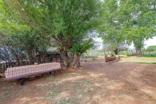 A picnic table under a large tree with a checkered tablecloth, surrounded by a dirt ground with sparse grass.