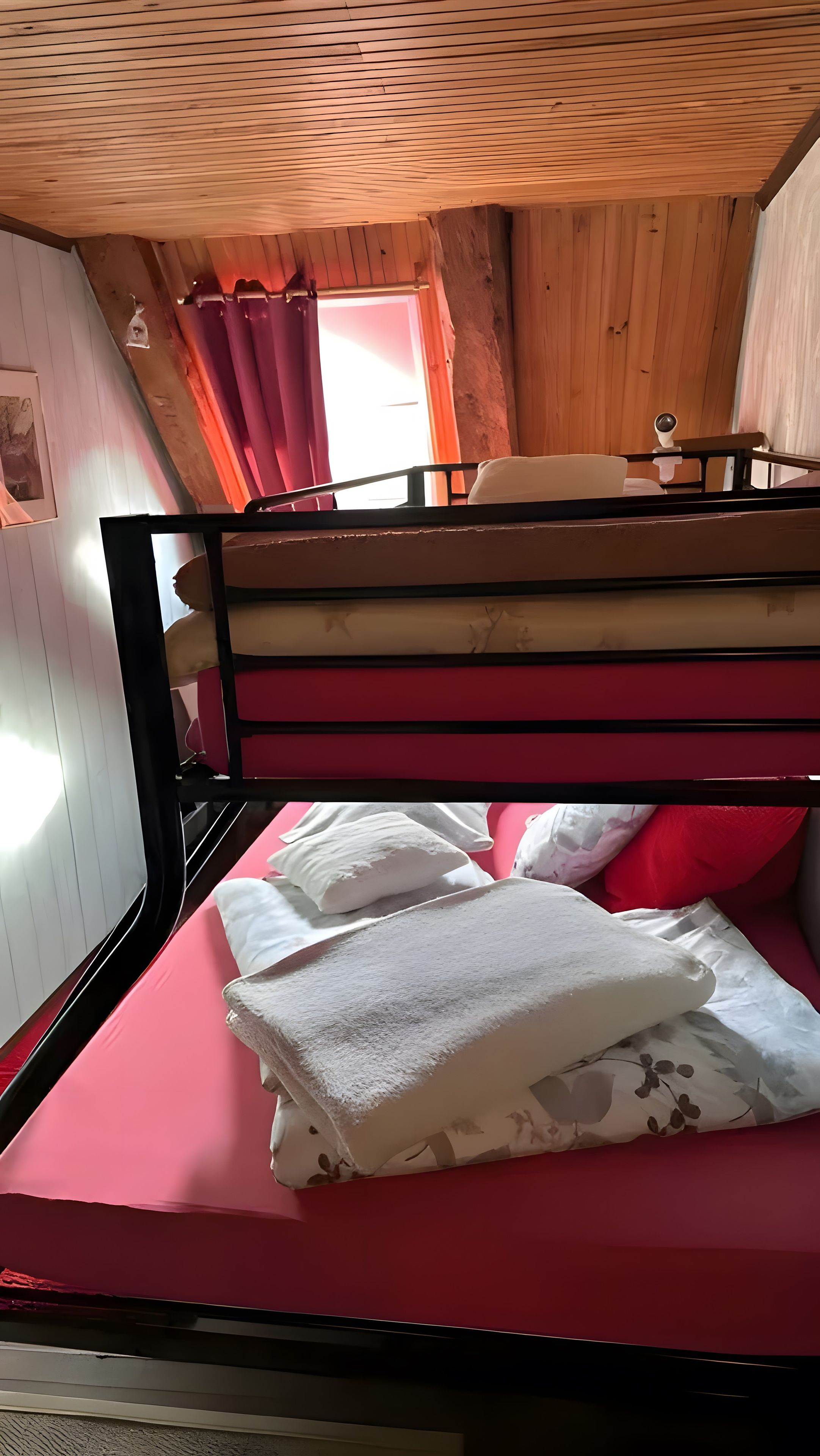 Una cama litera con colchón rojo y almohadas blancas, paredes de madera y una ventana con cortinas.