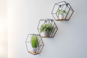 Three hexagonal wall-mounted planters with plants. - Perfect Booking 4-bed Group Home in Sheffield (Sheffield)