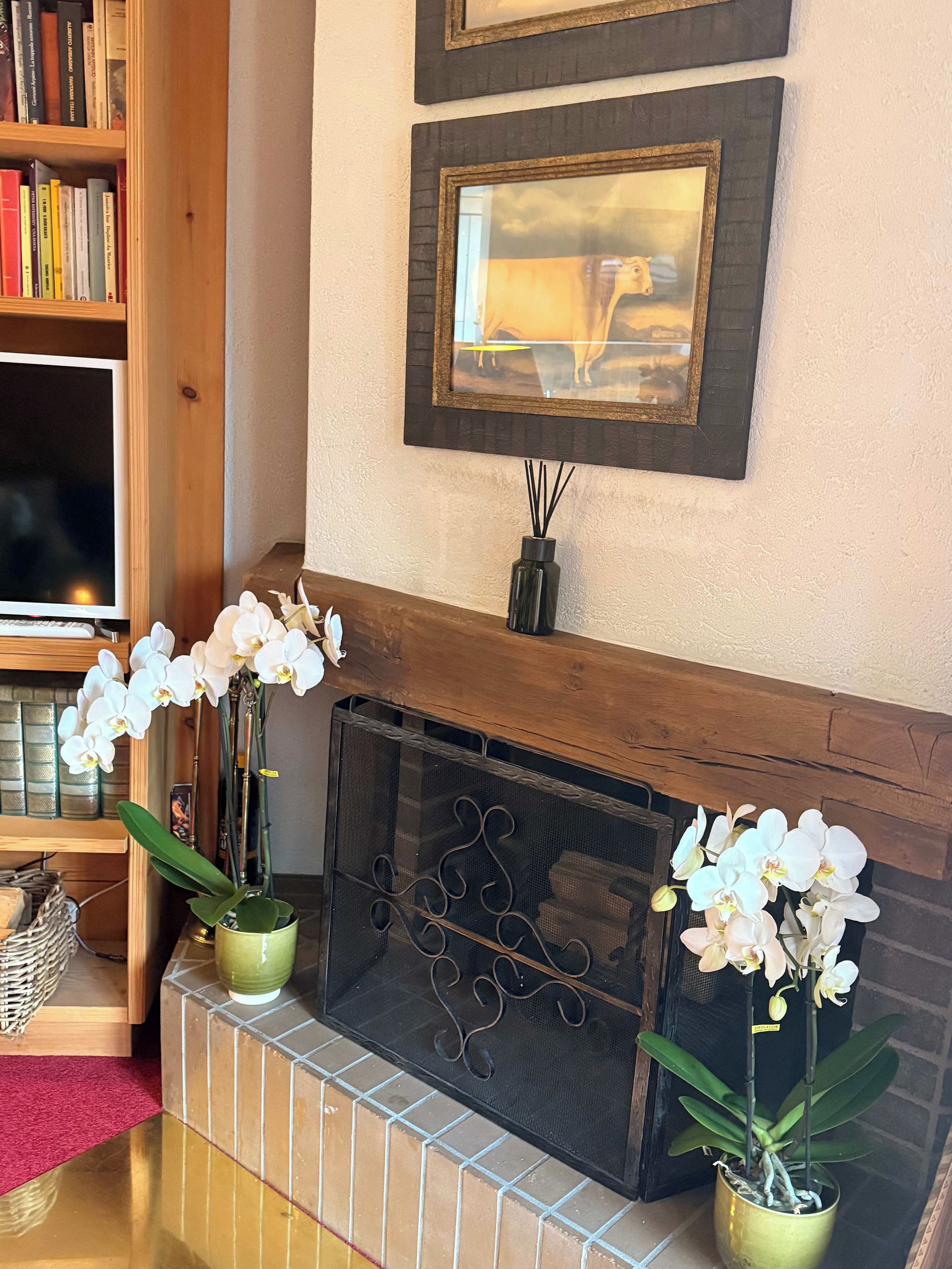 Une cheminée agrémentée de deux plantes orchidées, une bibliothèque remplie de livres et un tableau encadré accroché au mur.
