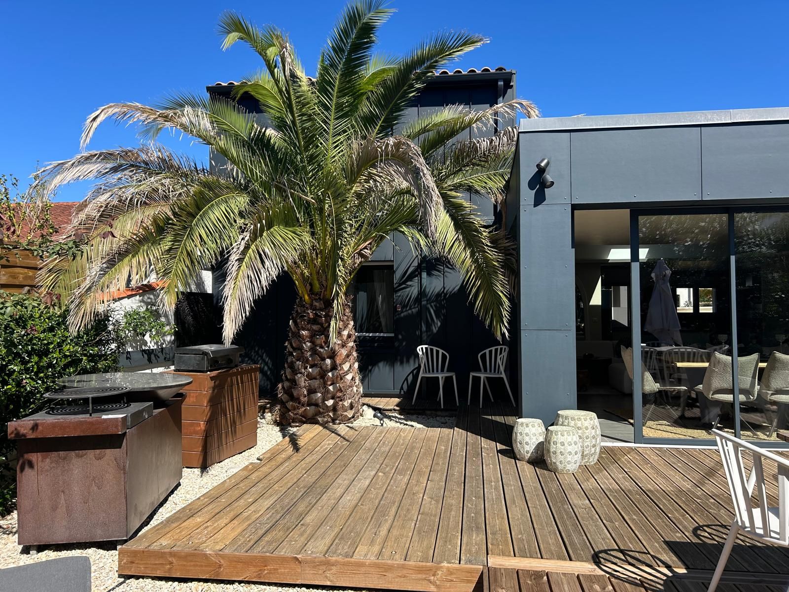A wooden deck with outdoor furniture, a palm tree, and a modern building with large windows.