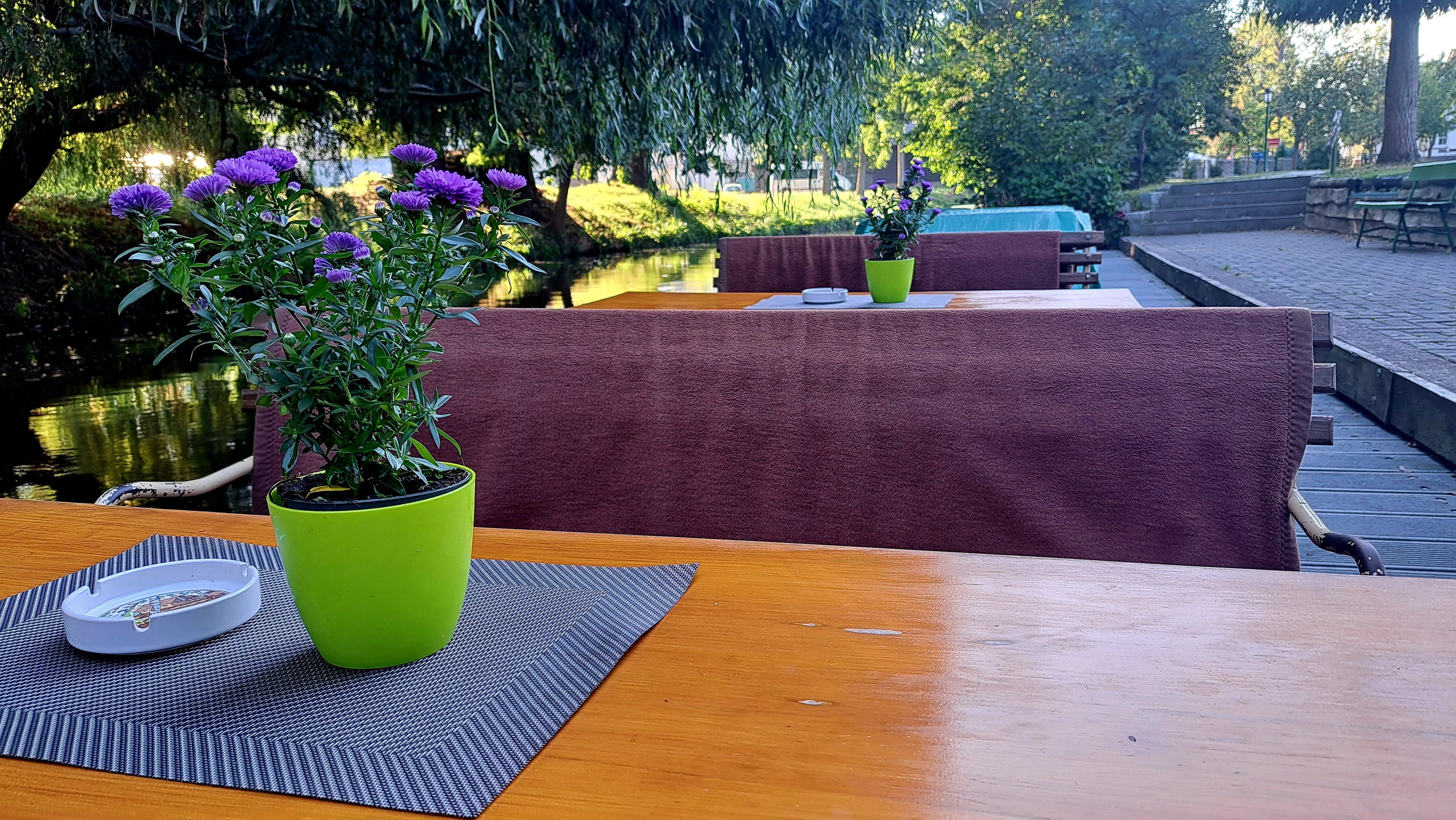 Una mesa de madera con una planta en maceta verde, un posavasos blanco y un mantel individual a rayas.