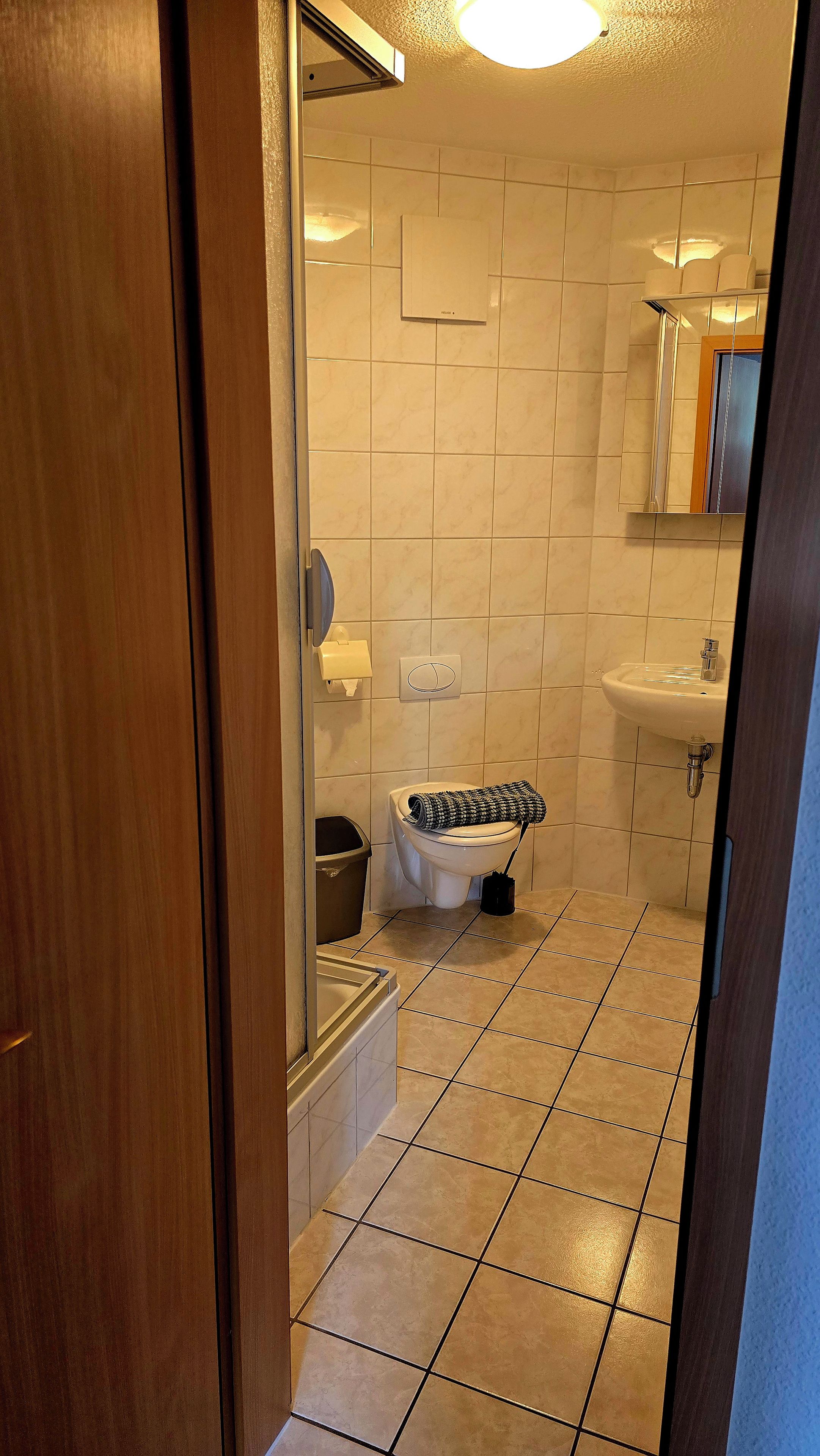 Un baño con inodoro, lavamanos y zona de ducha.