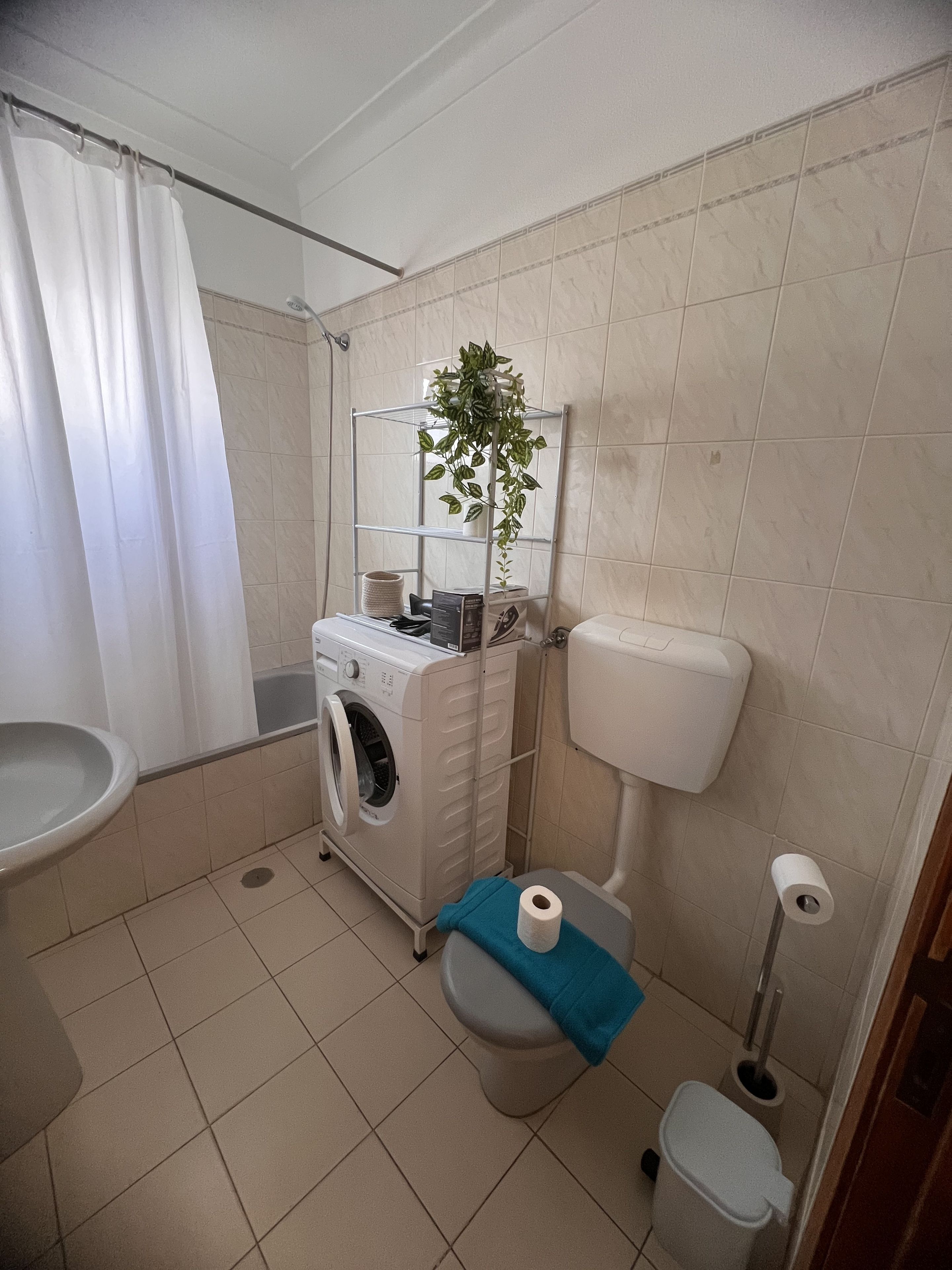Une petite salle de bain équipée d’un lave-linge, de toilettes et d’une étagère sur laquelle est posée une plante.
