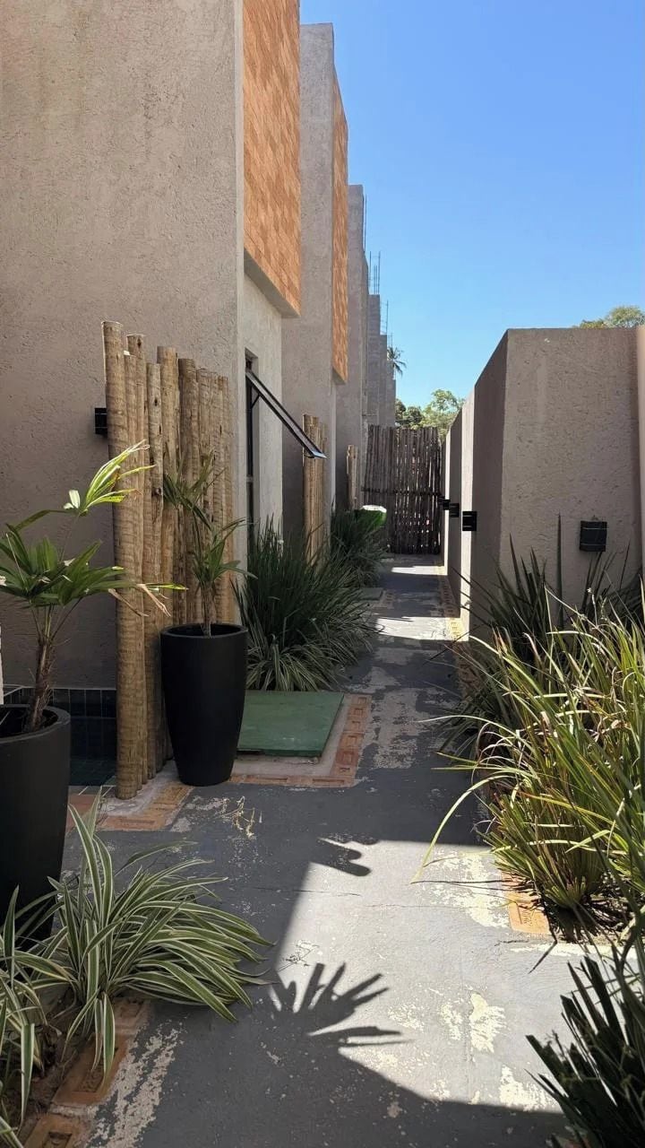 A narrow alleyway with potted plants and a wooden fence.