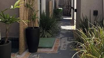 A narrow alleyway with potted plants and a wooden fence.