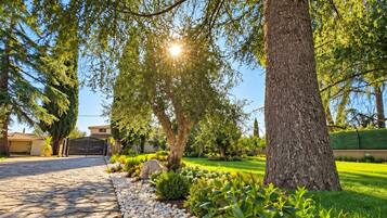 A pathway lined with evenly spaced stones leading to a gated entrance, surrounded by lush greenery and trees.